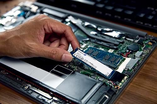Kingston NV3 1TB M 2 2280 NVMe SSD   PCIe 4 0 Gen 4x4   Up to 6000 MB/s   SNV3S/1000G